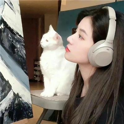 贾希大人不气馁